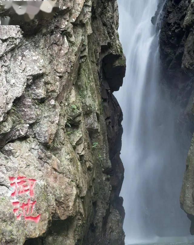 <张悬在演唱会上宣布离婚消息,她此前有过哪些感情经历?问答网-解答您的疑问>